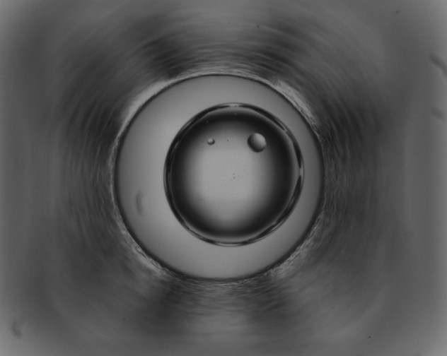 X0000092280854200710051142