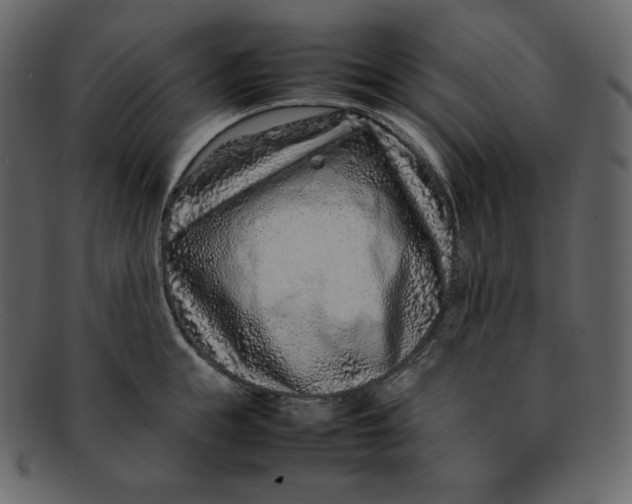 X0000092280855200710051142