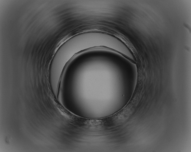 X0000092280858200710051142