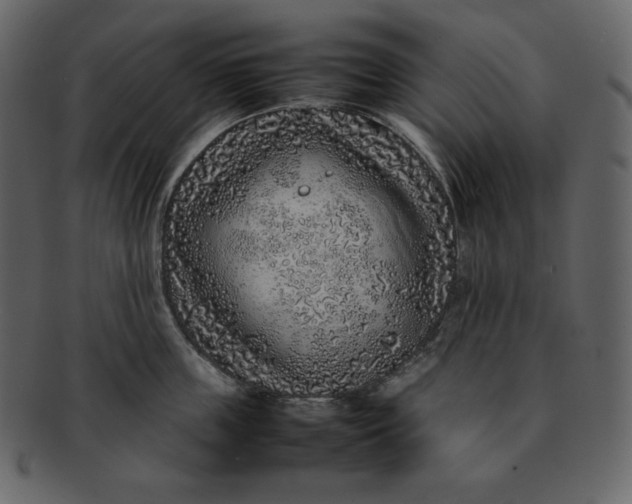 X0000092280859200710051142