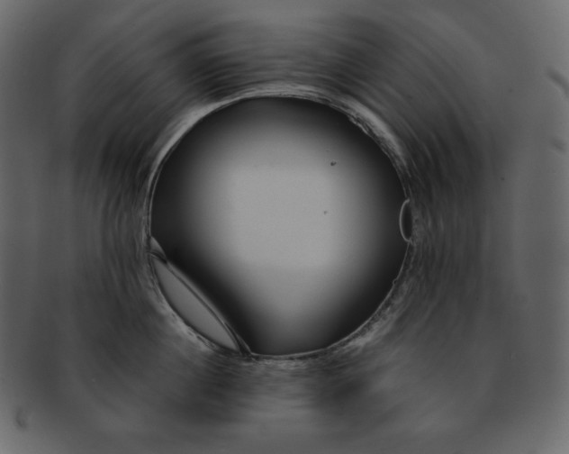 X0000092280860200710051142