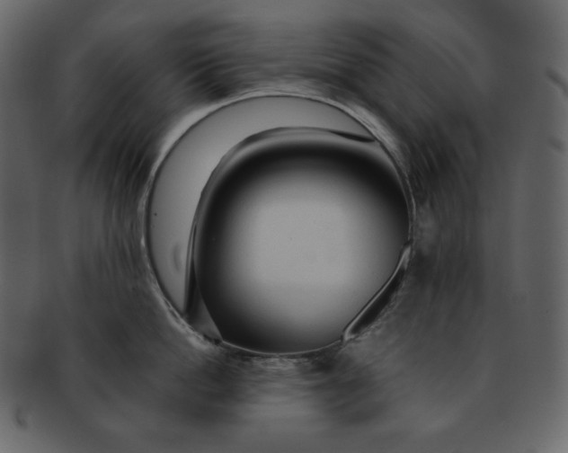 X0000092280862200710051142