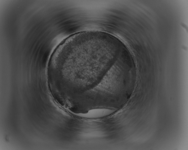 X0000092280864200710051142