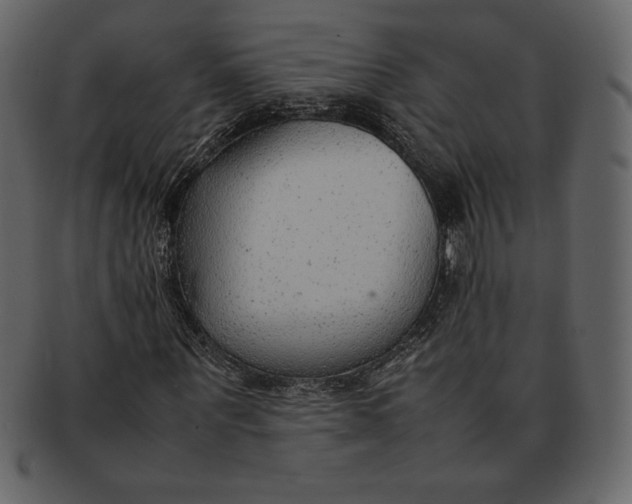 X0000092280867200710051141