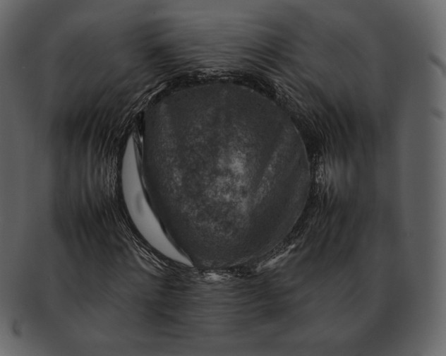 X0000092280868200710051141