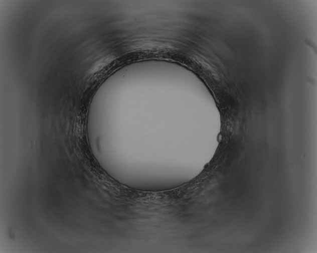 X0000092280869200710051141