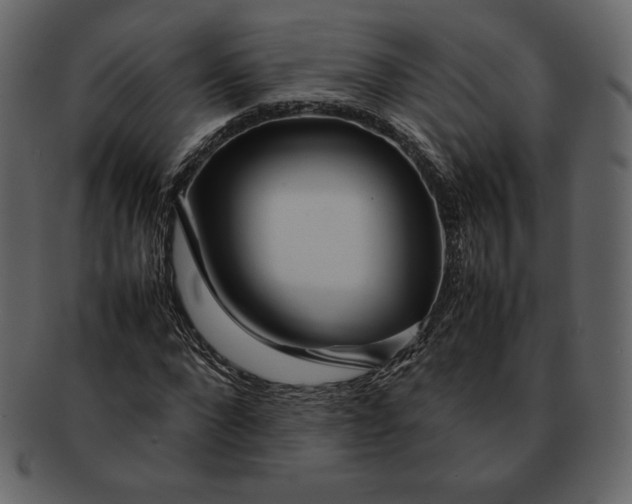 X0000092280872200710051141