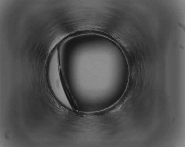 X0000092280877200710051141