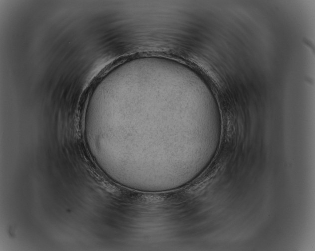 X0000092280878200710051141