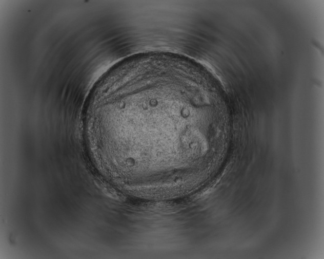 X0000092280879200710051141