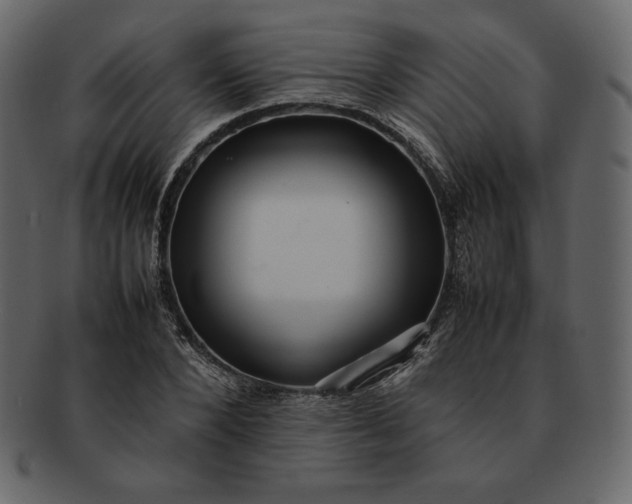 X0000092280880200710051141