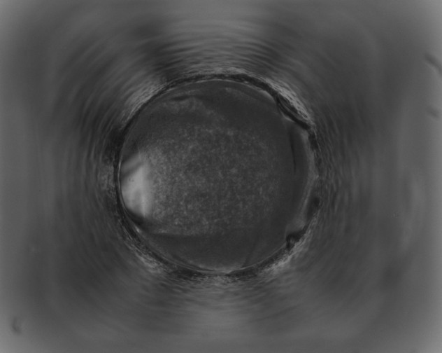 X0000092280881200710051141