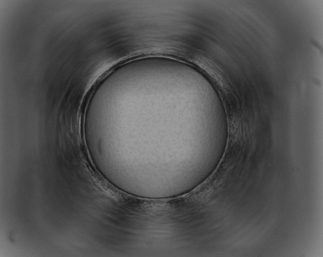 X0000092280886200710051141