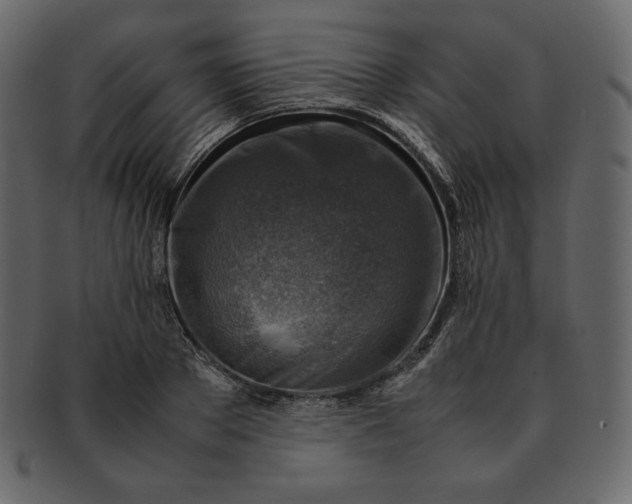 X0000092280889200710051141