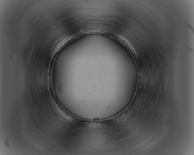 X0000092280890200710051141