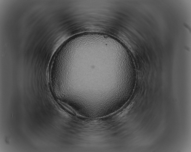 X0000092280891200710051141