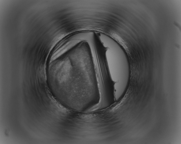 X0000092280892200710051141