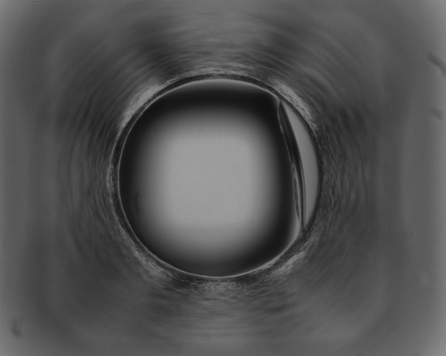 X0000092280893200710051141