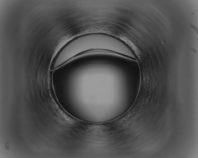 X0000092280894200710051141