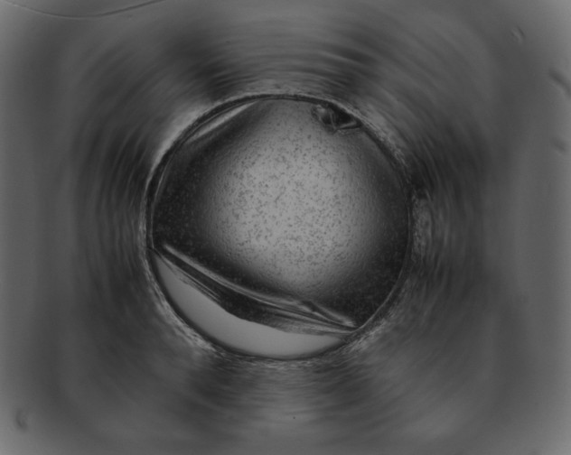 X0000092280896200710051141