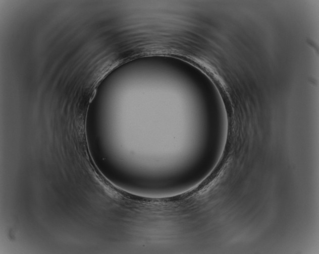 X0000092280897200710051141