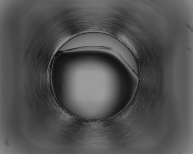 X0000092280900200710051141