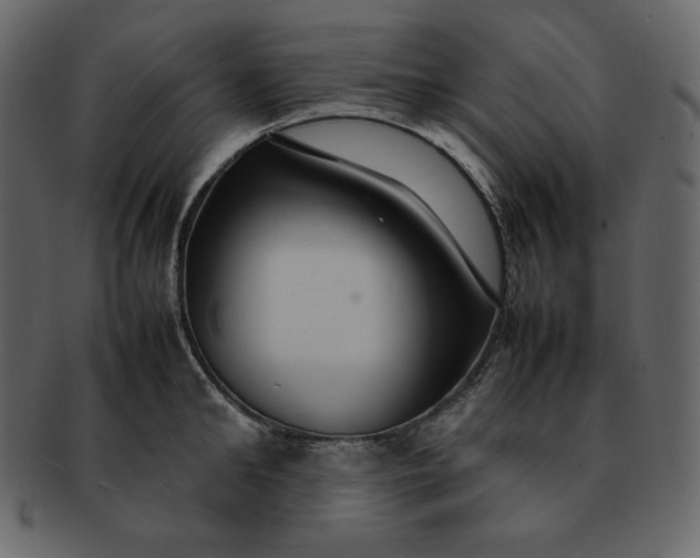 X0000092280902200710051141