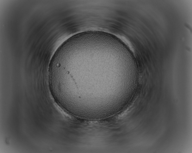 X0000092280903200710051141