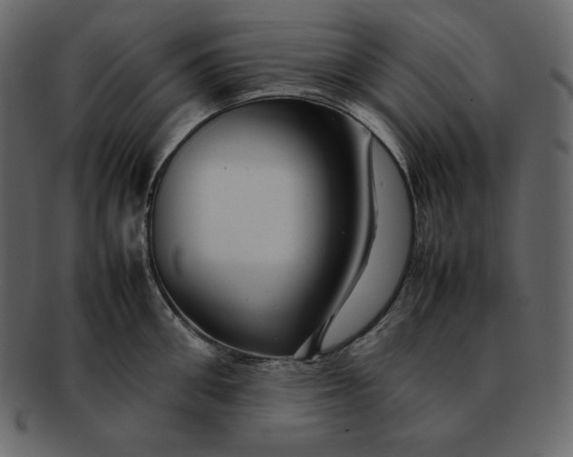 X0000092280906200710051141