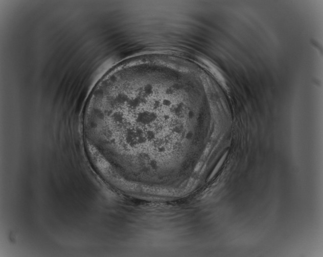 X0000092280907200710051141