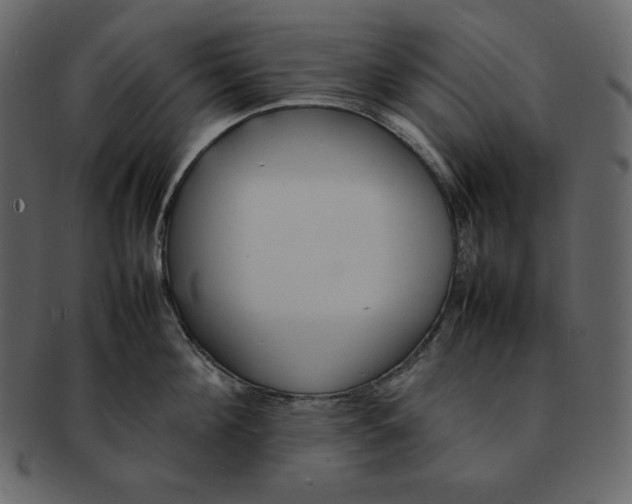 X0000092280908200710051141