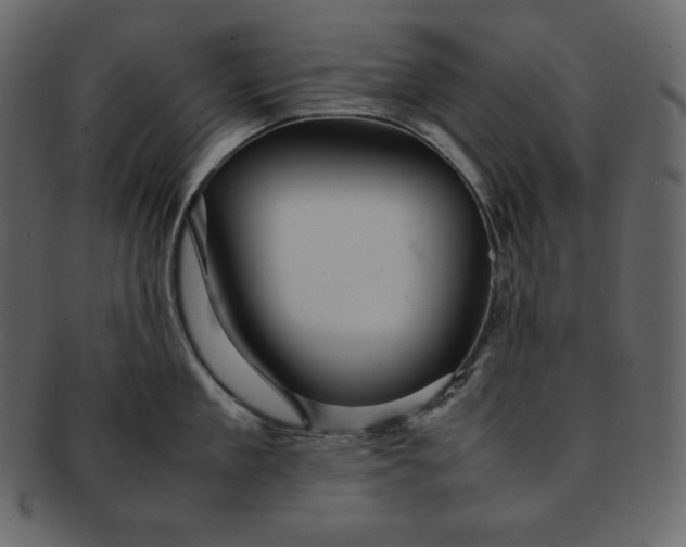 X0000092280909200710051141