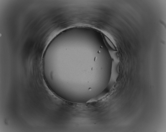 X0000092280911200710051141