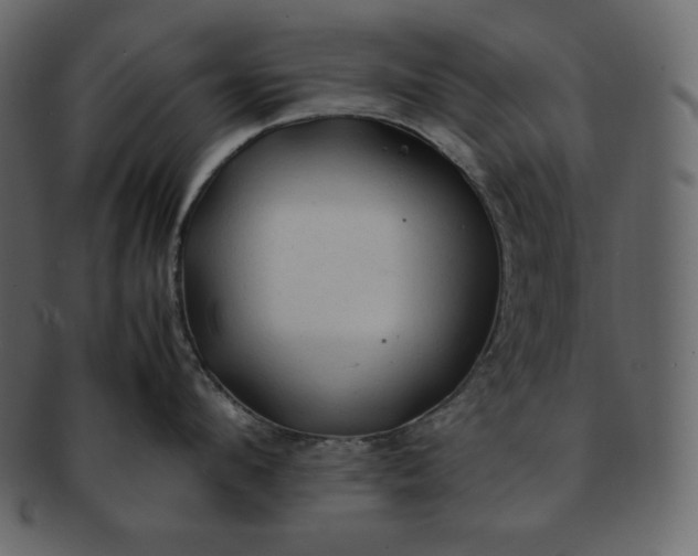 X0000092280912200710051141