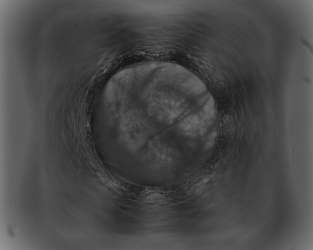 X0000092280913200710051140