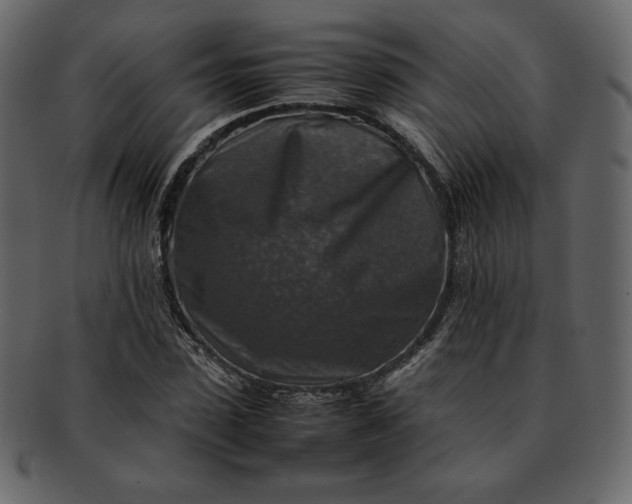 X0000092280923200710051140