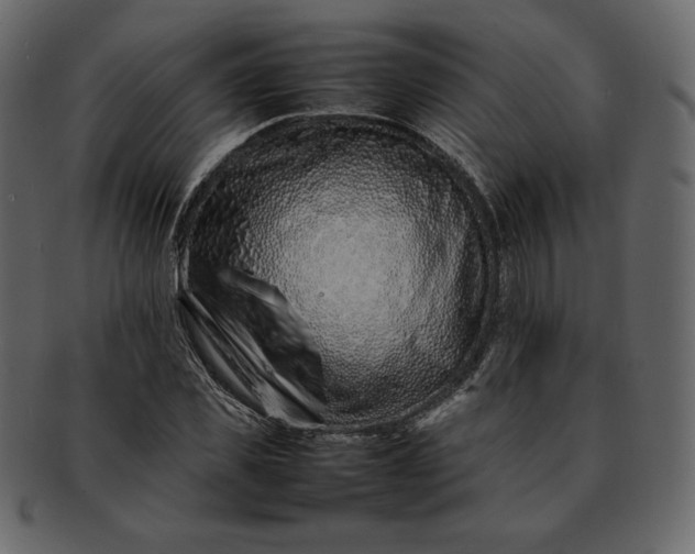 X0000092280925200710051140