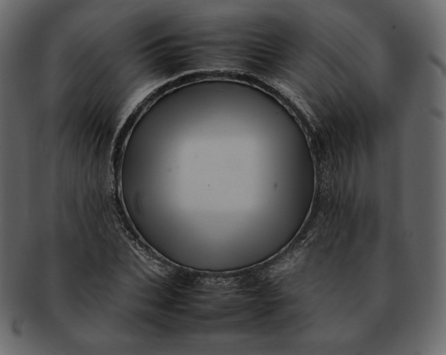 X0000092280927200710051140