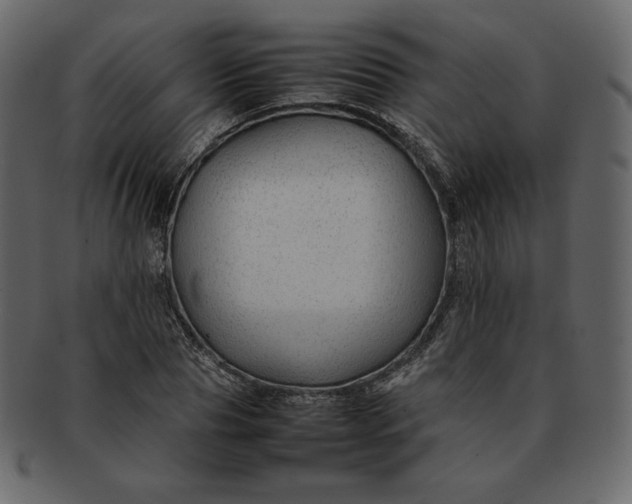 X0000092280929200710051140