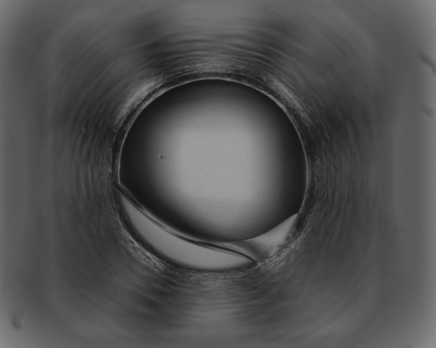 X0000092280930200710051141