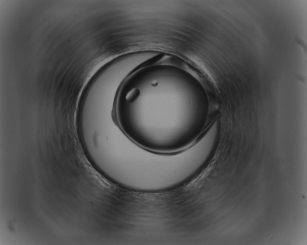 X0000092280932200710051141