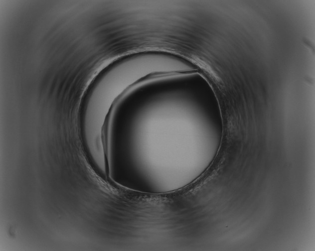 X0000092280934200710051141