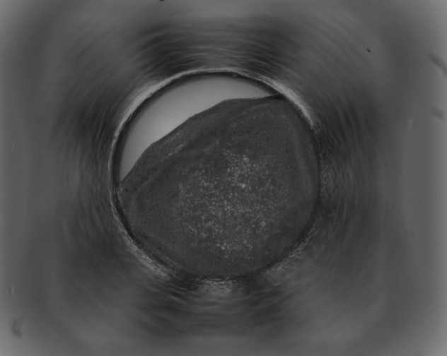 X0000092280935200710051141