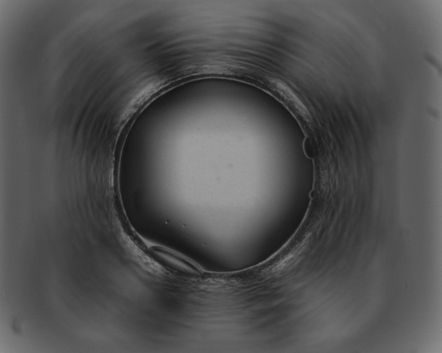 X0000092280938200710051141