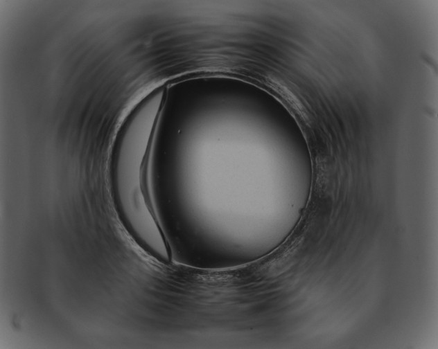 X0000092280939200710051141