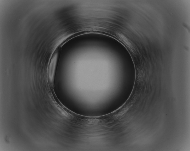 X0000092280940200710051141