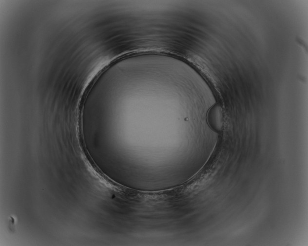 X0000092280941200710051141