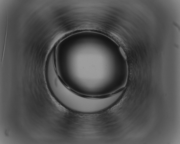 X0000092280942200710051141