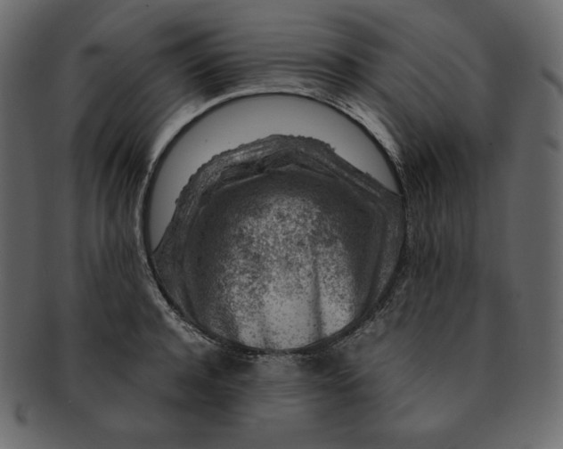 X0000092280944200710051141