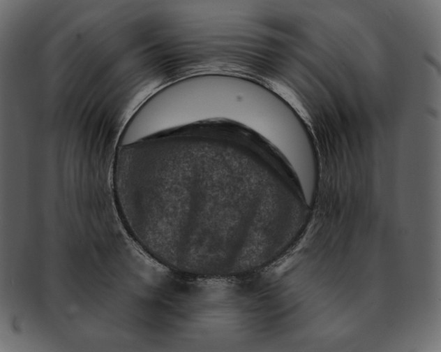 X0000092280946200710051141